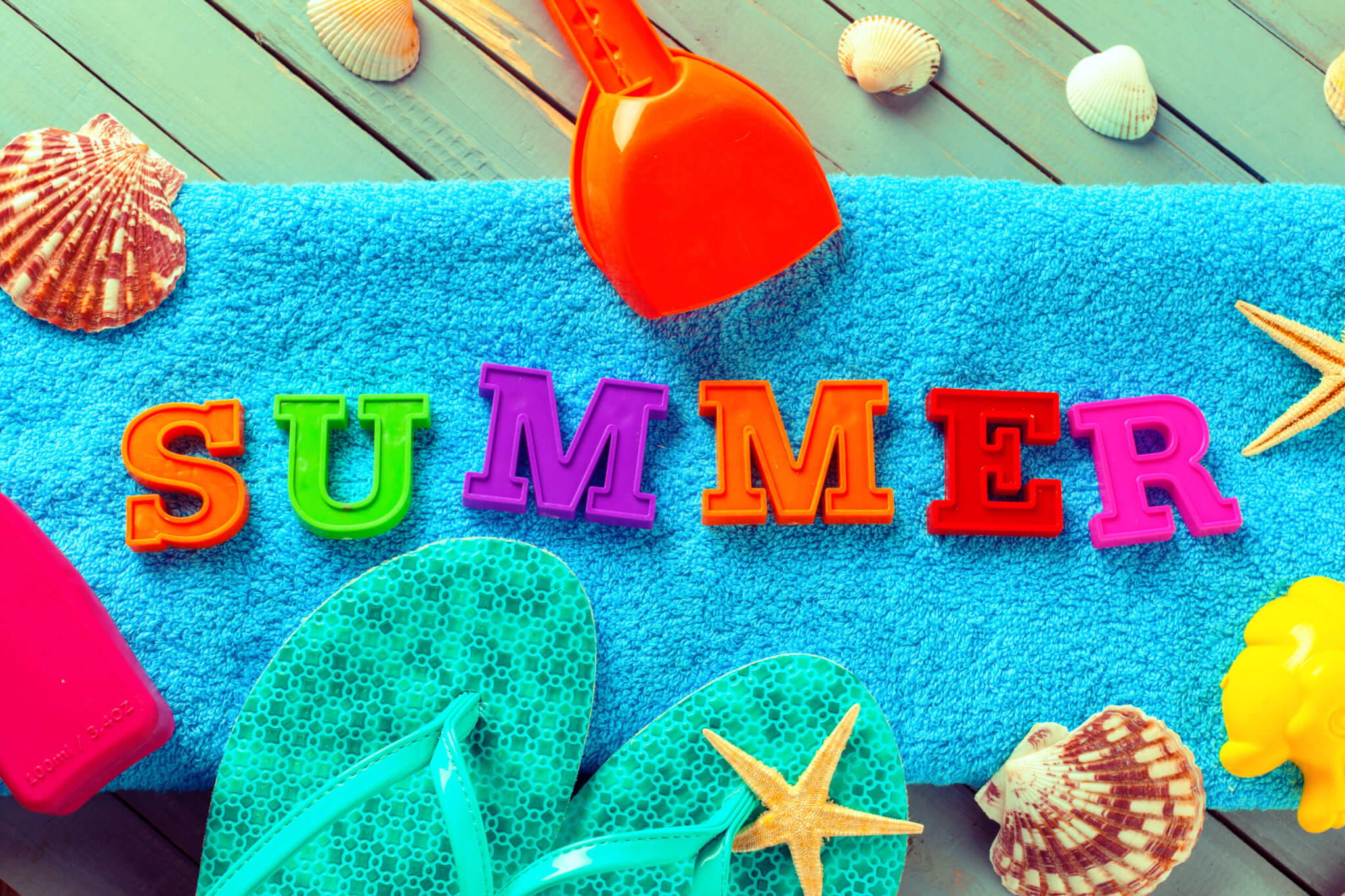 summer background made of seashells and maritime o 2023 11 27 05 20 56 utc scaled 1 Summer of Fun arrives for the Kids at RBG this January to March 1