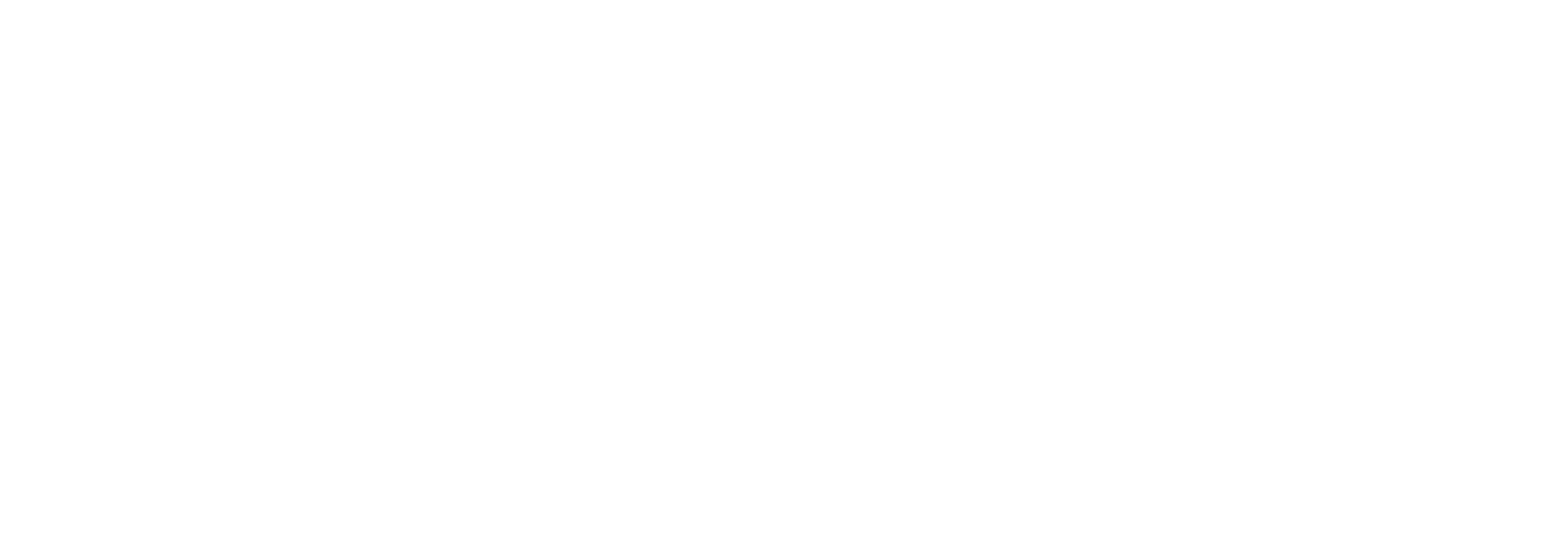 roar active logo