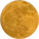 Varnika Sharma profile picture